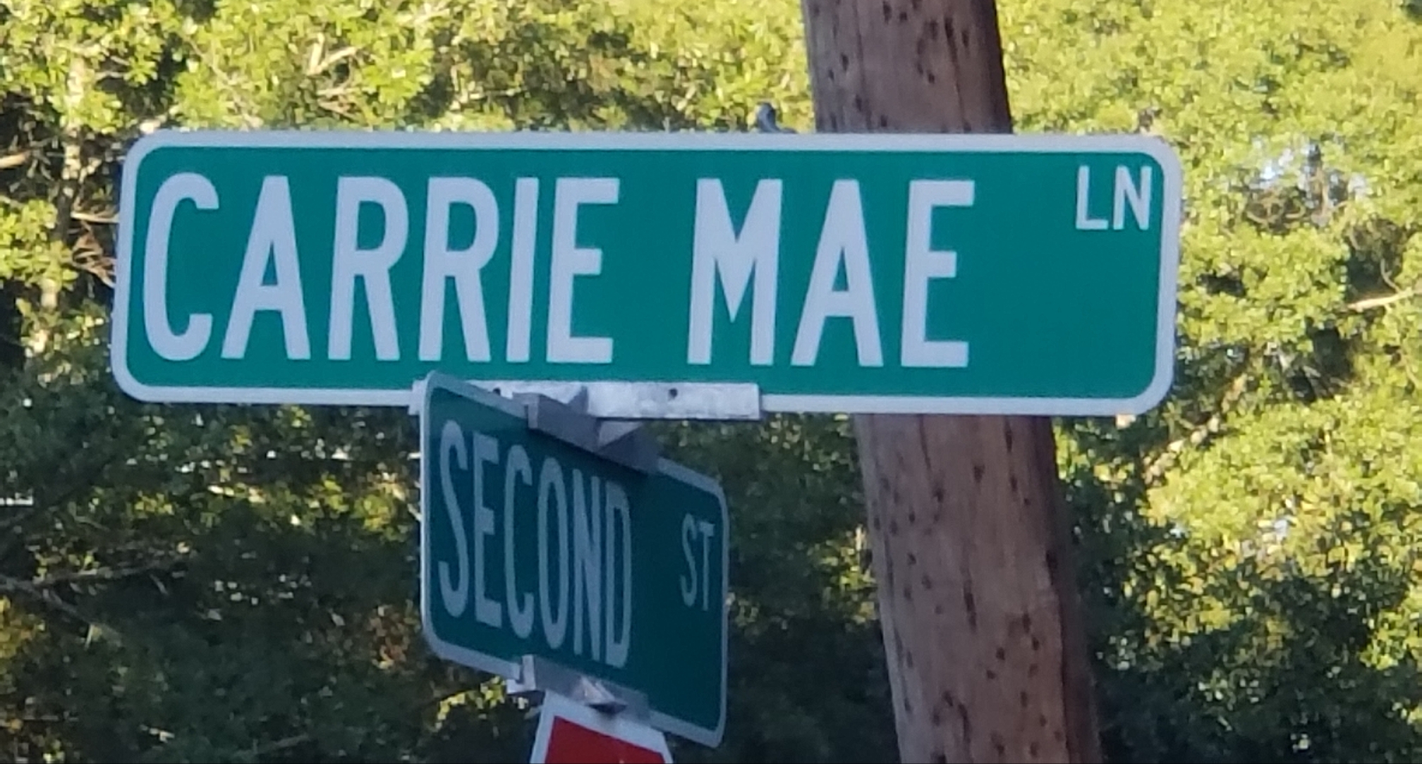 GFC corner of Carrie Mae Ln and Second Street in Stockbridge GA